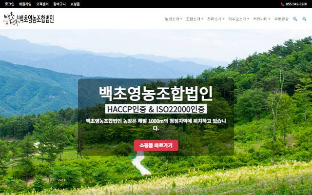백초 사이트 화면