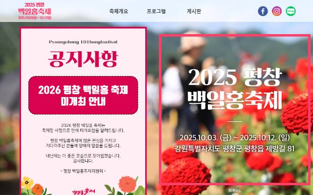 평창 백일홍 축제 사이트 화면