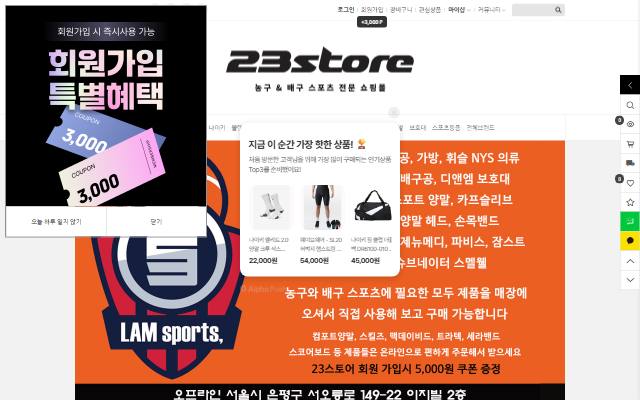 23스토어 사이트 화면