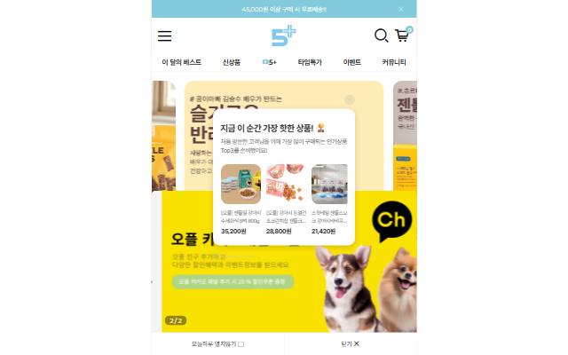 오플 사이트 화면