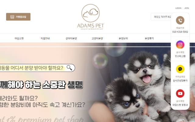 아담스펫 사이트 화면