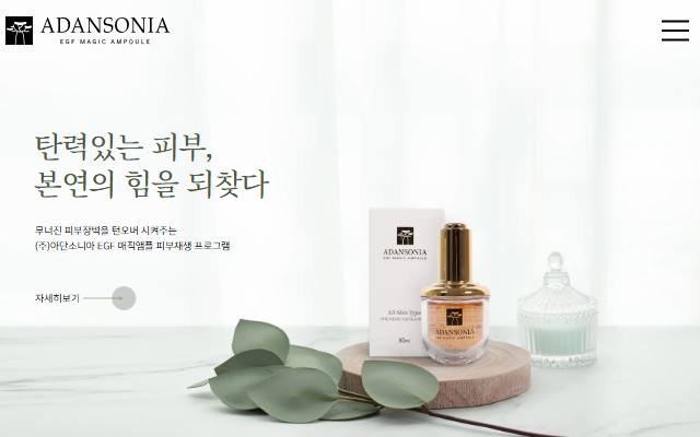 아단소니아 사이트 화면