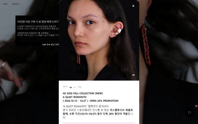 AE 사이트 화면