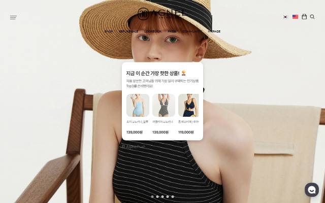 아그넬 사이트 화면