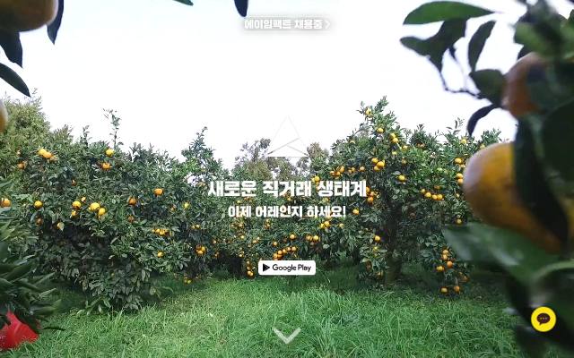 어레인지 사이트 화면