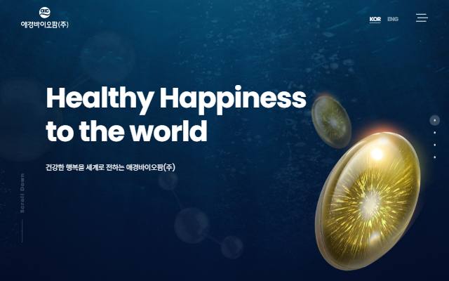 애경바이오팜 사이트 화면