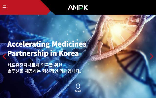 에이엠피케이 사이트 화면