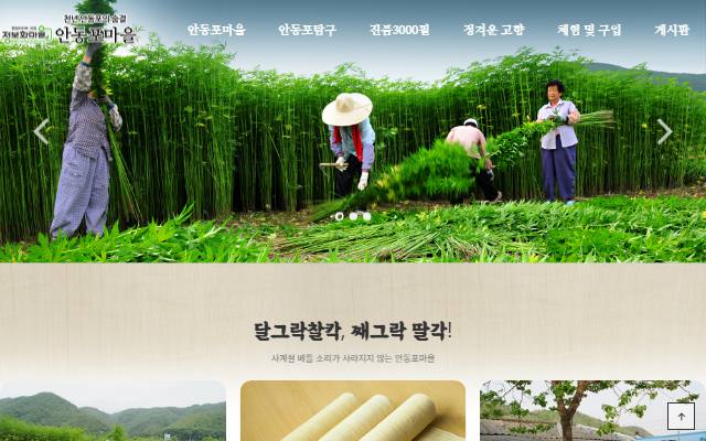 안동포정보화마을 사이트 화면