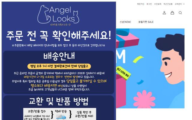 엔젤룩스 사이트 화면