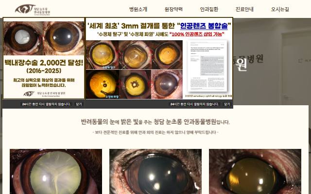 청담 눈초롱 안과동물병원 사이트 화면