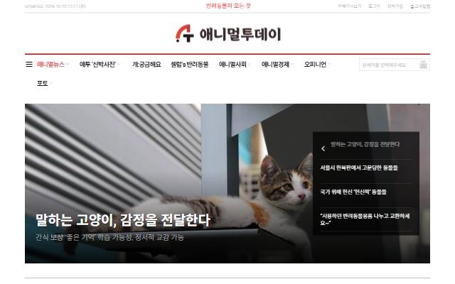 애니멀투데이 사이트 화면