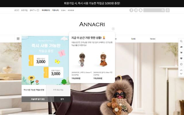 아나크리 사이트 화면