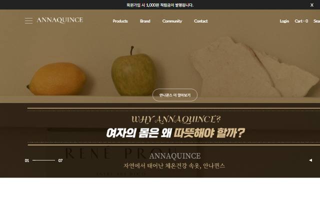 안나퀸스 사이트 화면
