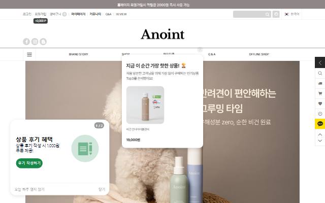 어노인트 사이트 화면
