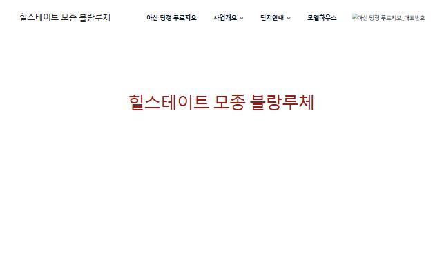 힐스테이트 모종 블랑루체 사이트 화면