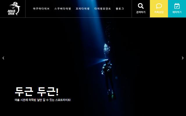 아쿠아다이브 사이트 화면