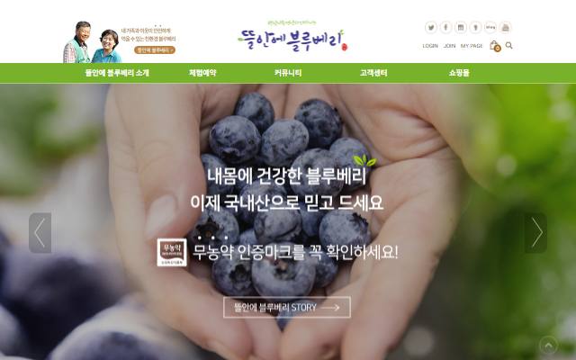 뜰안에 블루베리 사이트 화면