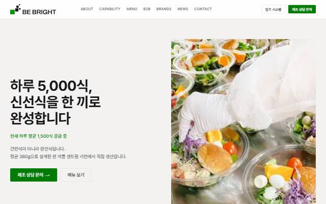 비브라이트 사이트 화면