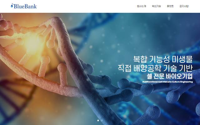 블루뱅크 사이트 화면