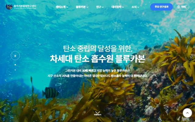 블루카본융합연구센터 사이트 화면