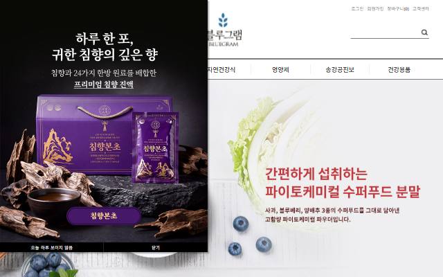 블루그램 사이트 화면
