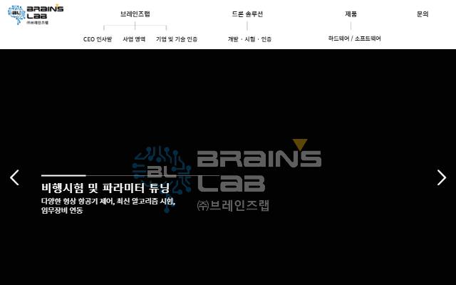 브레인즈랩 사이트 화면