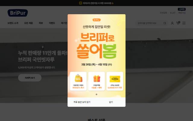브리퍼 사이트 화면