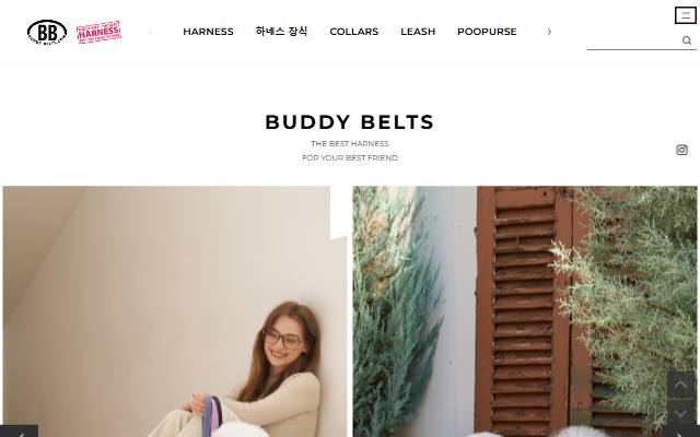 버디벨트 코리아 사이트 화면