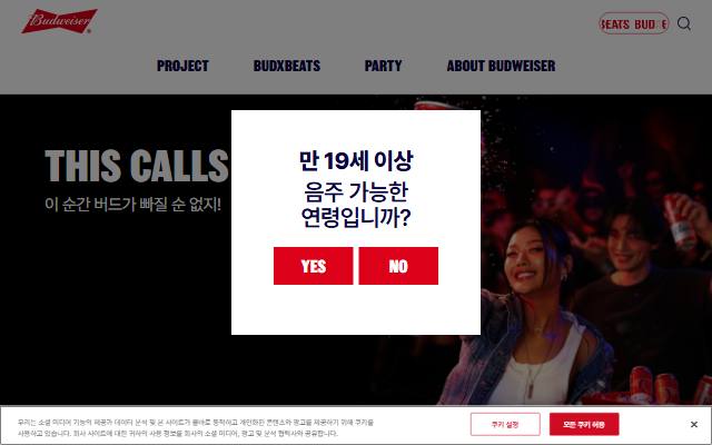 버드와이저 코리아 사이트 화면