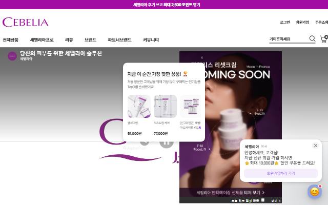 세벨리아 사이트 화면