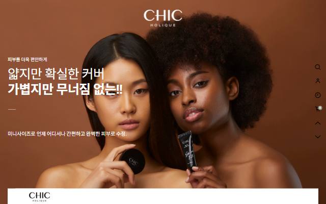 시크홀릭 사이트 화면