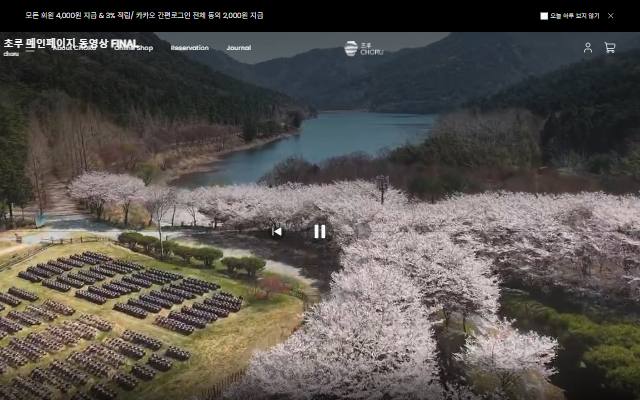 초루 사이트 화면