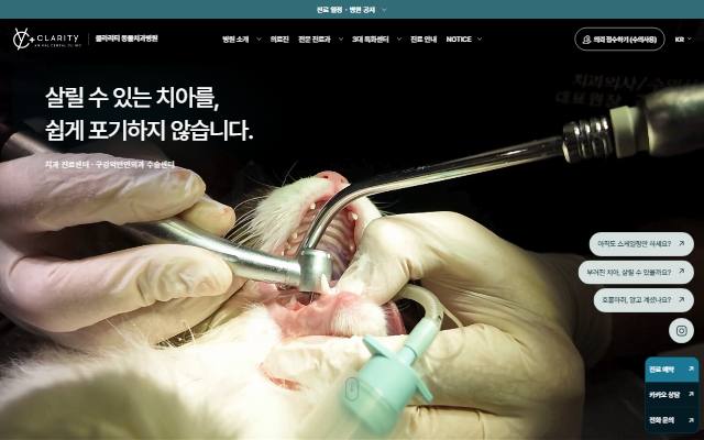 클라리티 동물치과 사이트 화면