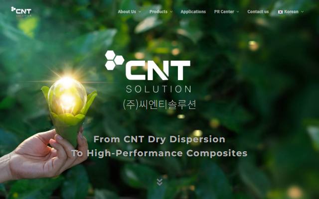 씨엔티솔루션 사이트 화면